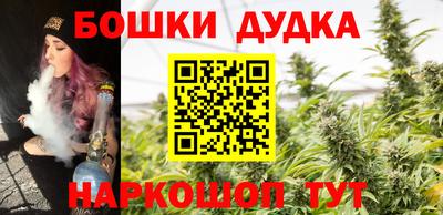 шишки Дубна