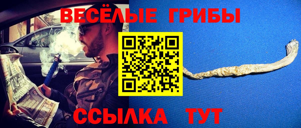 Псилоцибиновые грибы мицелий Нефтекамск